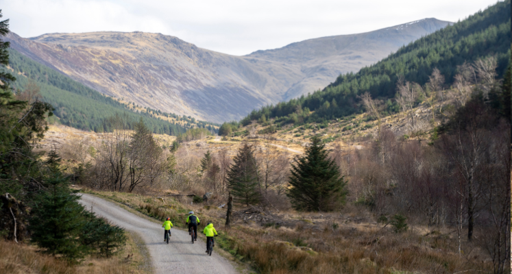 Wide shot of Ennerdale forest with three cyclists in distance