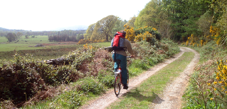 Cyclist on Eskdale TRail at High Eskholme