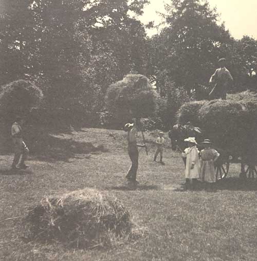 Harvesting hay at Brockhole