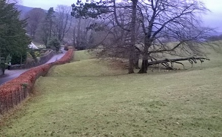 Empty field before work begins.