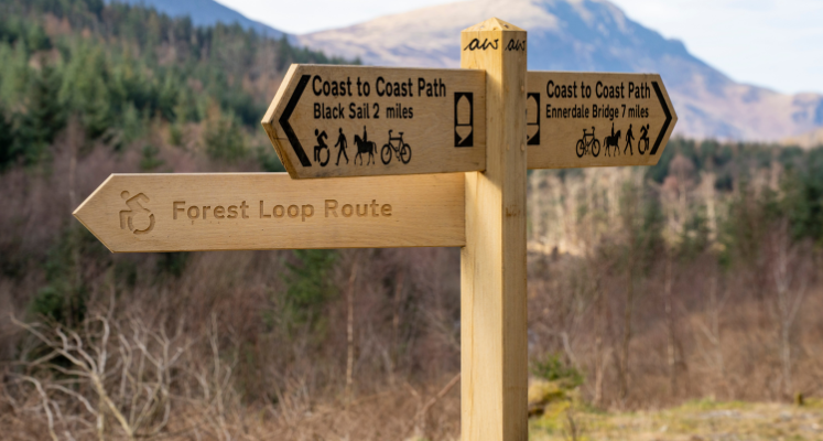 Close up of a wooden finger post highlighting the Coast to Coast Trail Path and Ennerdale Forest Loop with wheelchair sign