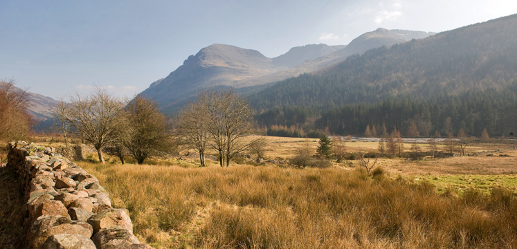 View of Ennerdale and its forests copyright Charlie Hedley