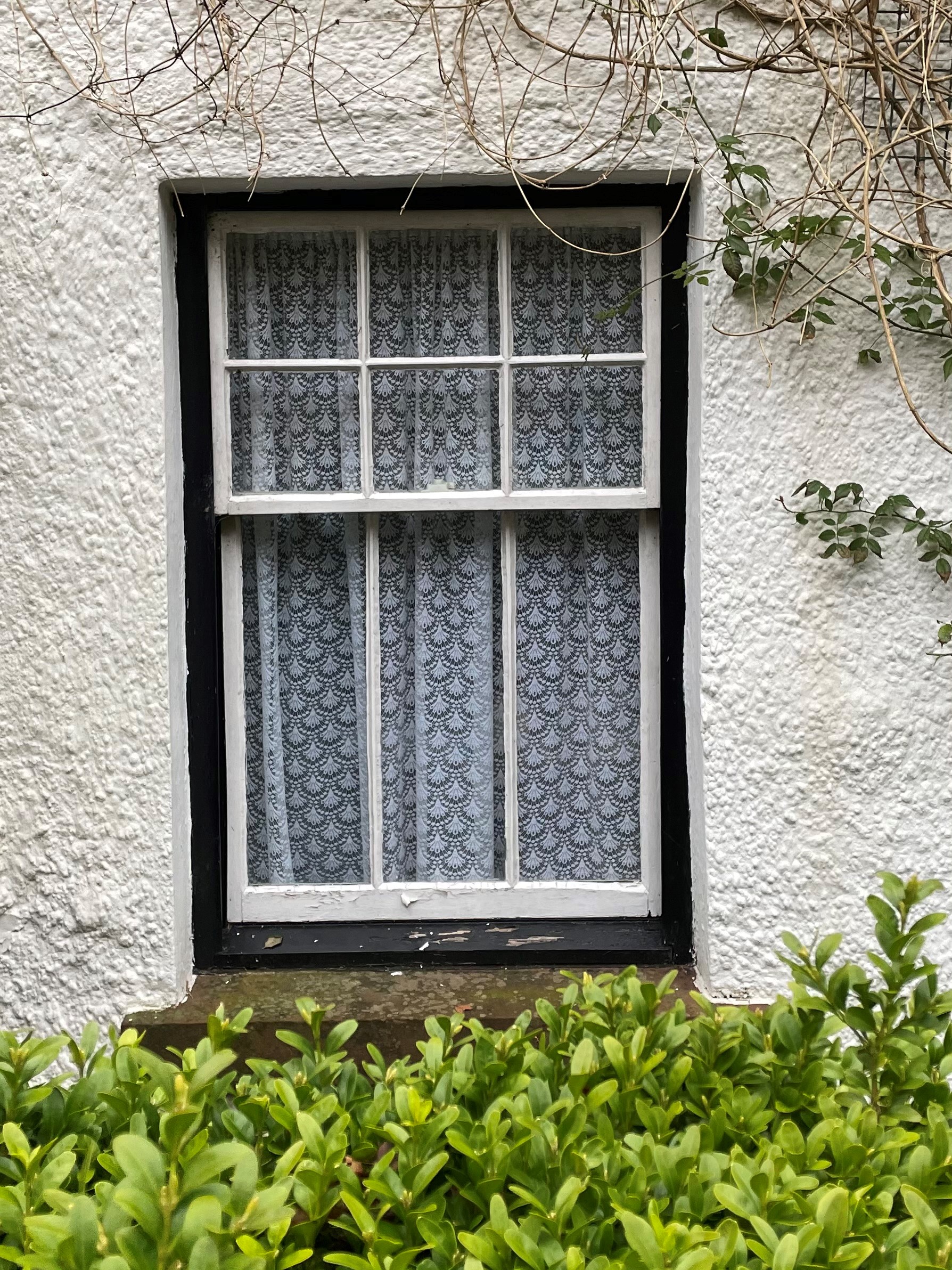 window 2