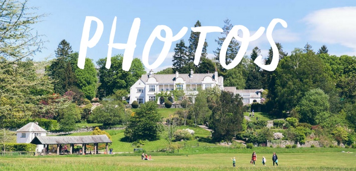 Free photos