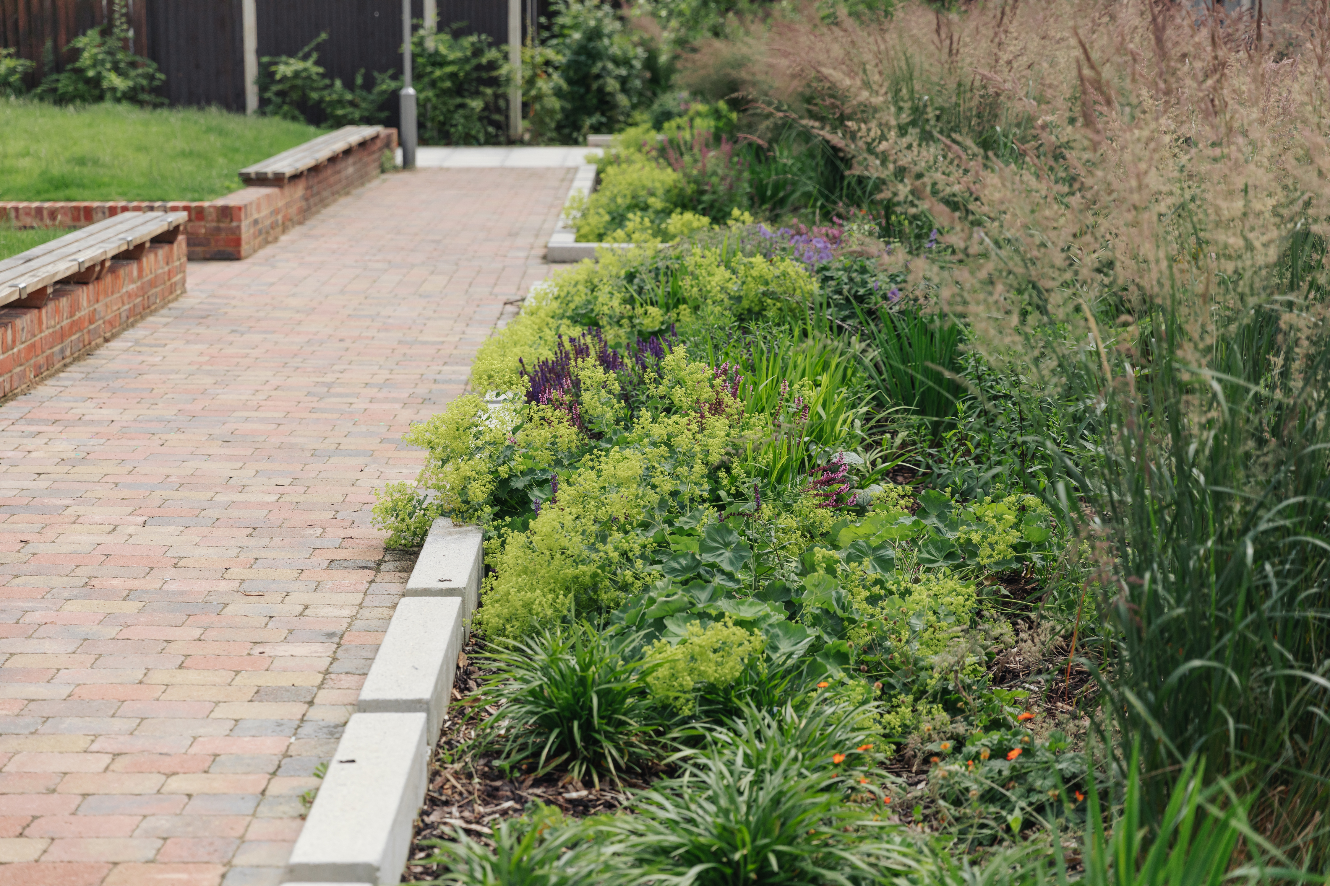 Example of constructed rain gardens suitable for town centre locations