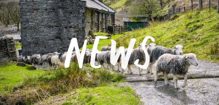 News