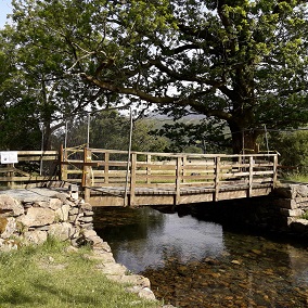 Dubbs Bridge 