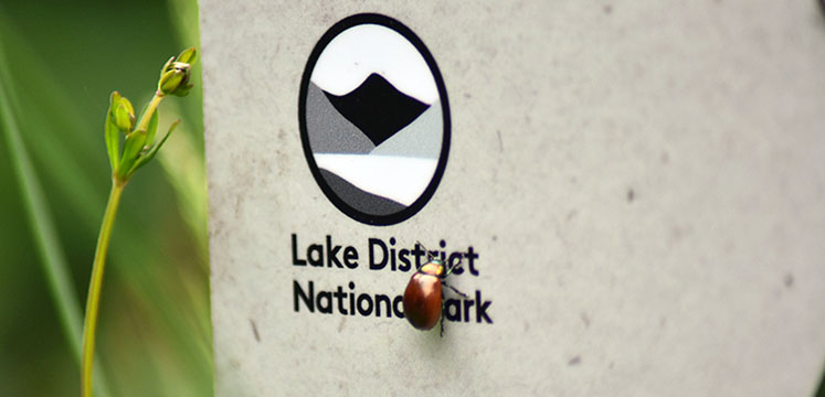 A small beetle on a stone sign with the Lake District National Park logo on