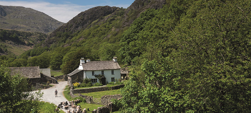 A white washed farm with sheep in a wooden valley with high fells behind