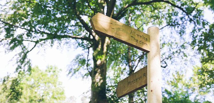 Signpost in the Lake District