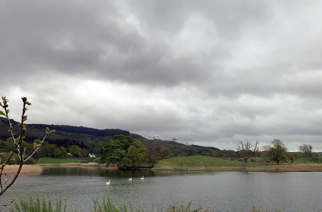 View across a river with swans on the water and gentle hils on the far side.