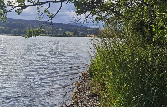 Esthwaite Water
