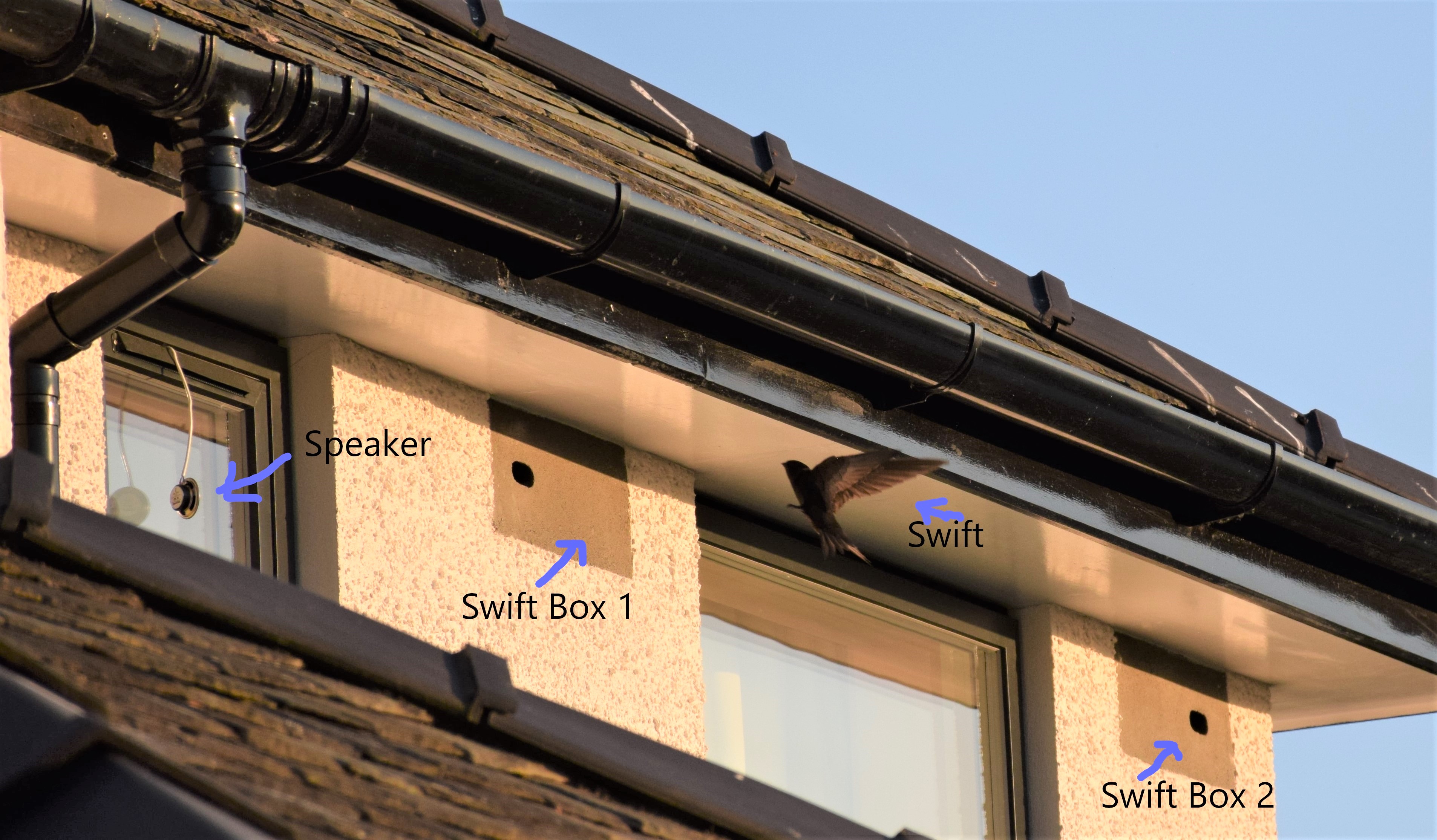 Swift Bricks 