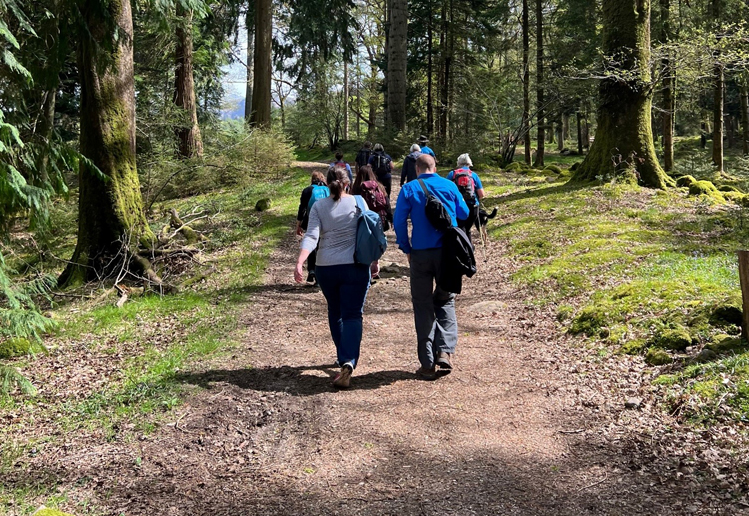 Eskdale Trail