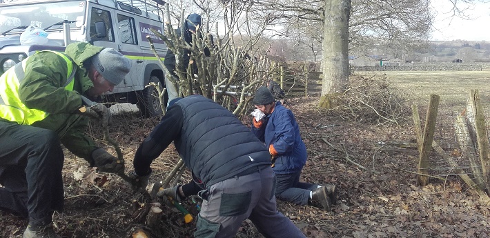 National Park Rangers maintaining hedge in Ullswater