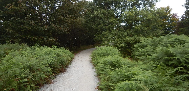 New Orrest Head path