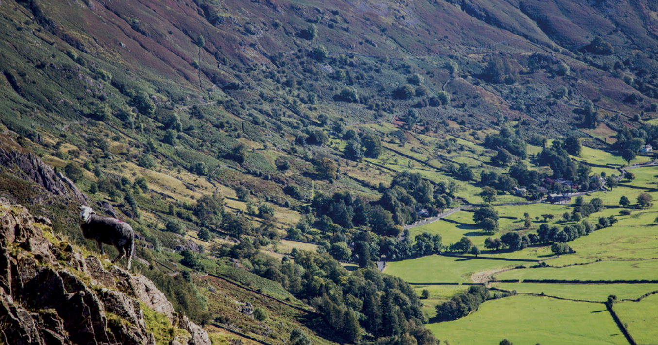Langdale