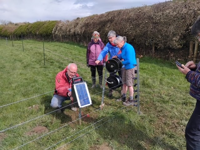 Melbreak curlew project volunteers erecting a fence to protect a nest