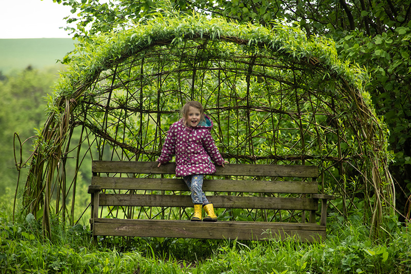 A bench under a willow arbour