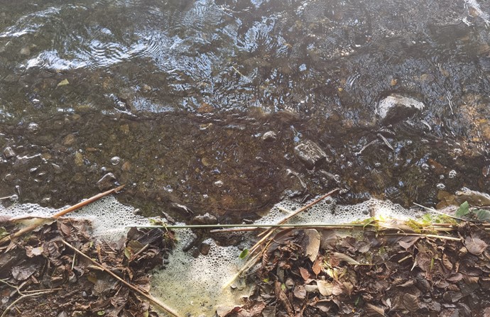 Esthwaite