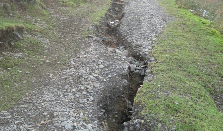 paths