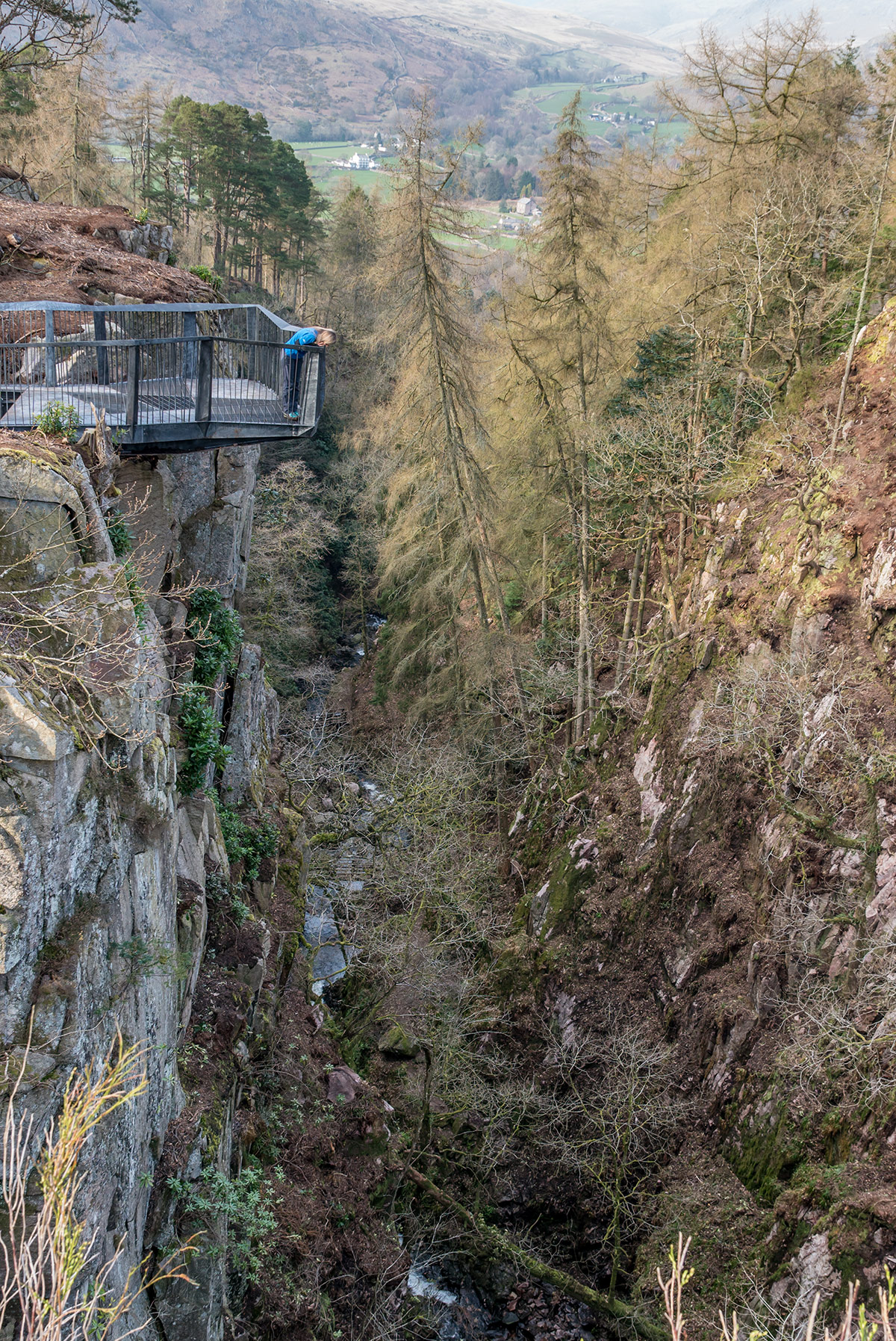 Someone standing on a metalwork platform that juts out over a steep sided ghyll.