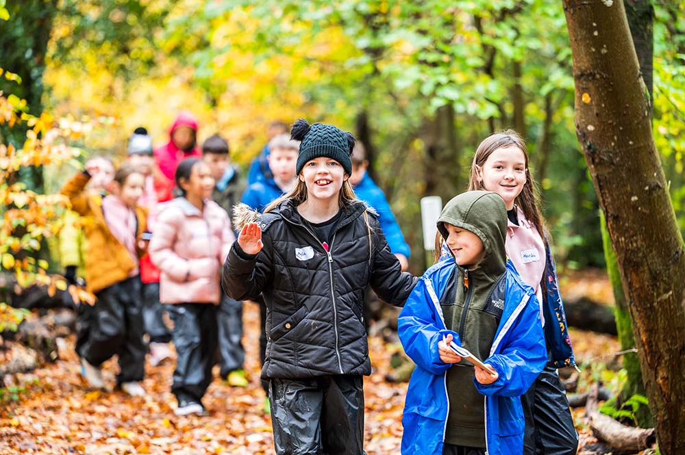 A school group walking through woodland at Brockhole