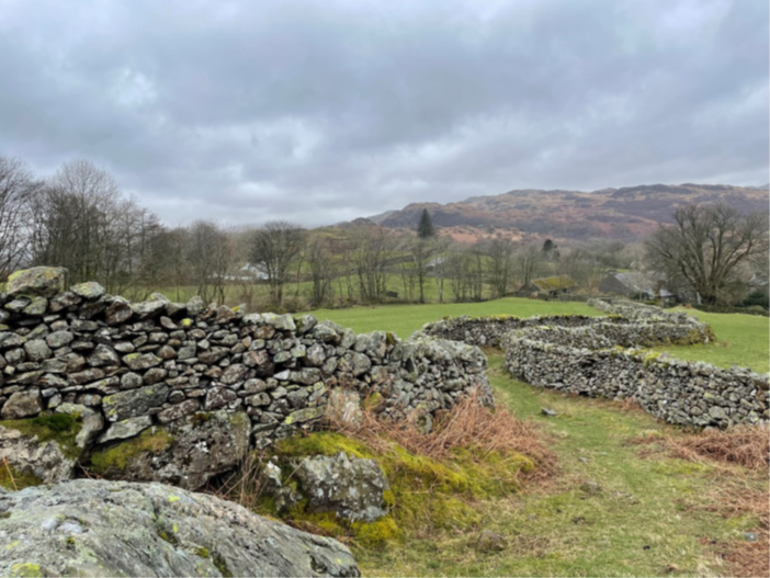 Stone walls - FiPL