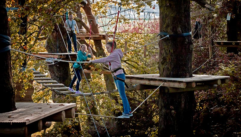 Teenagers on a high rope adventure course in the tree tops
