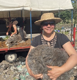 Photo, courtesy of James Rebanks, shows Maria Benjamin of Nibthwaite Grange with wool which is being made into Lake District Tweed.