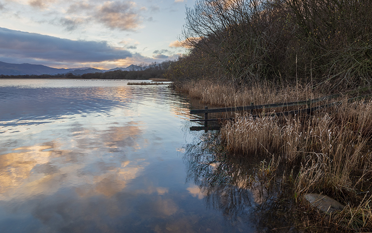 Bassenthwaite, Skiddaw and Derwentwater