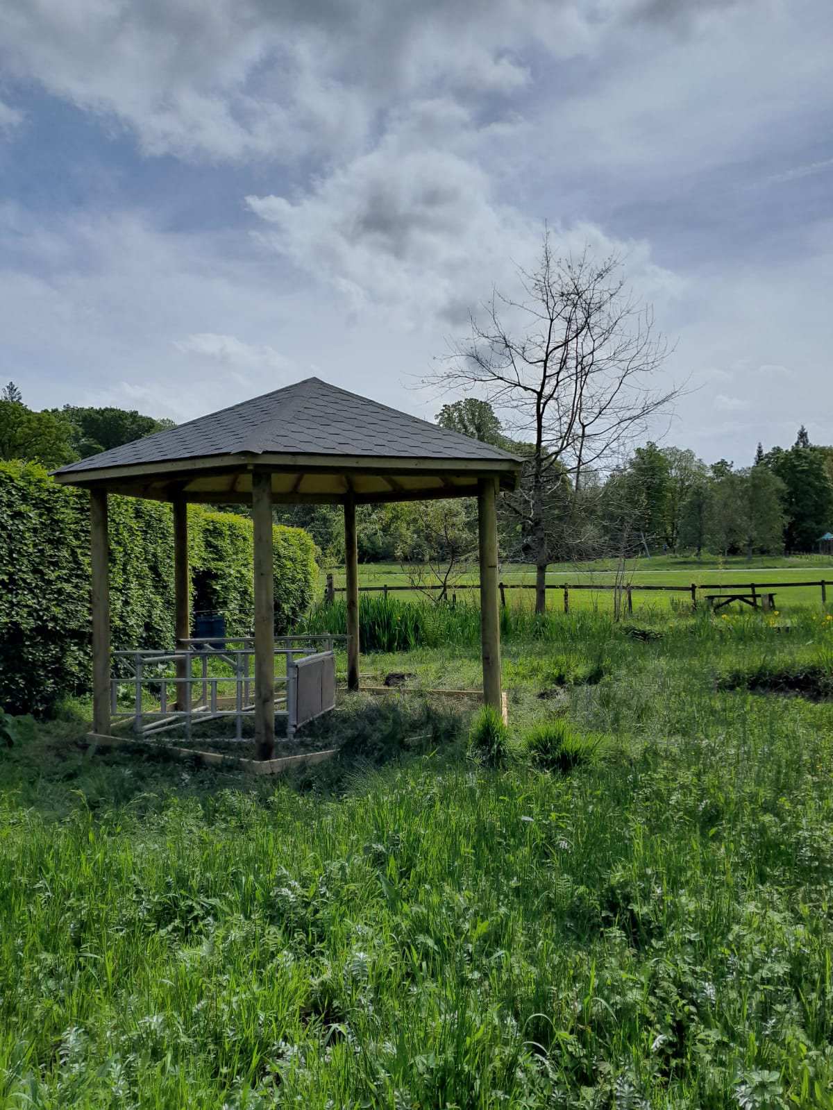 New outdoor classroom in pond area