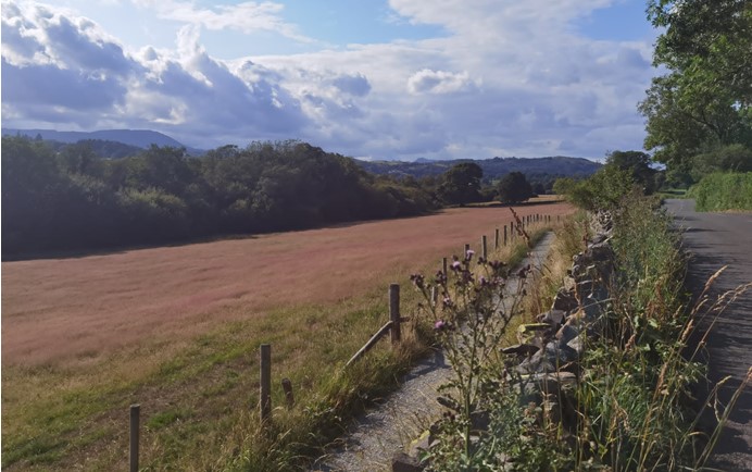 Esthwaite