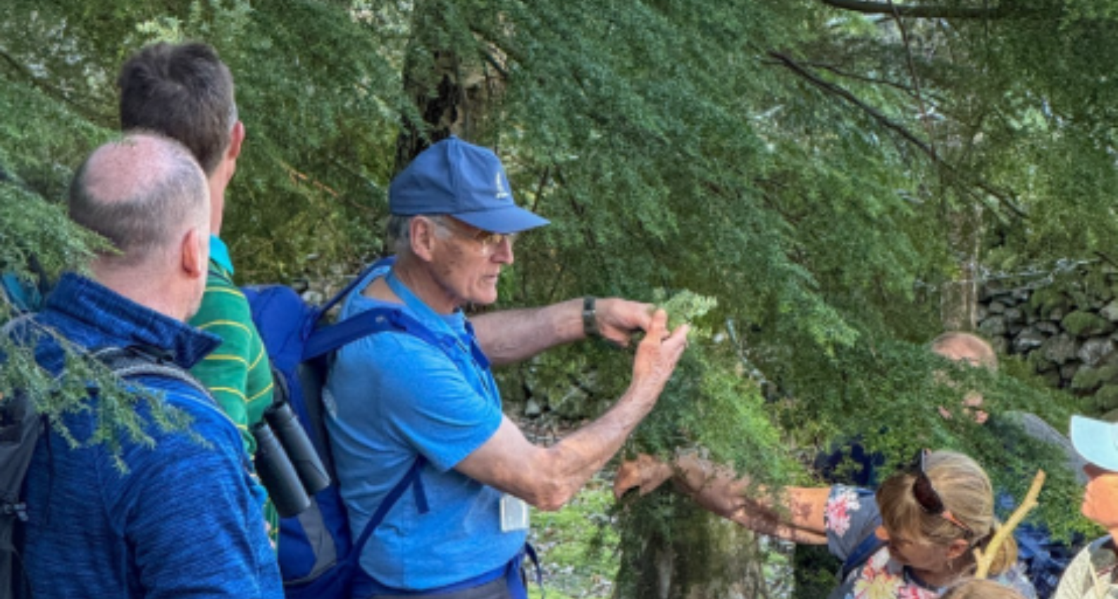 A volunteer leading a guided walk talks to attendees during a walk near Coniston as the season starts for 2025. Image credit: Nicky Beeson 