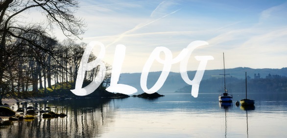 Blog header 