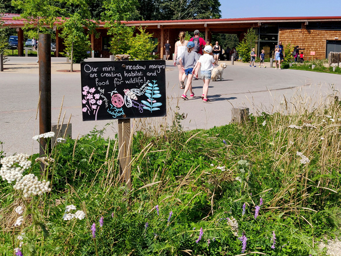A hand-painted sign in a meadow flower bed next to a visitors entrance building.