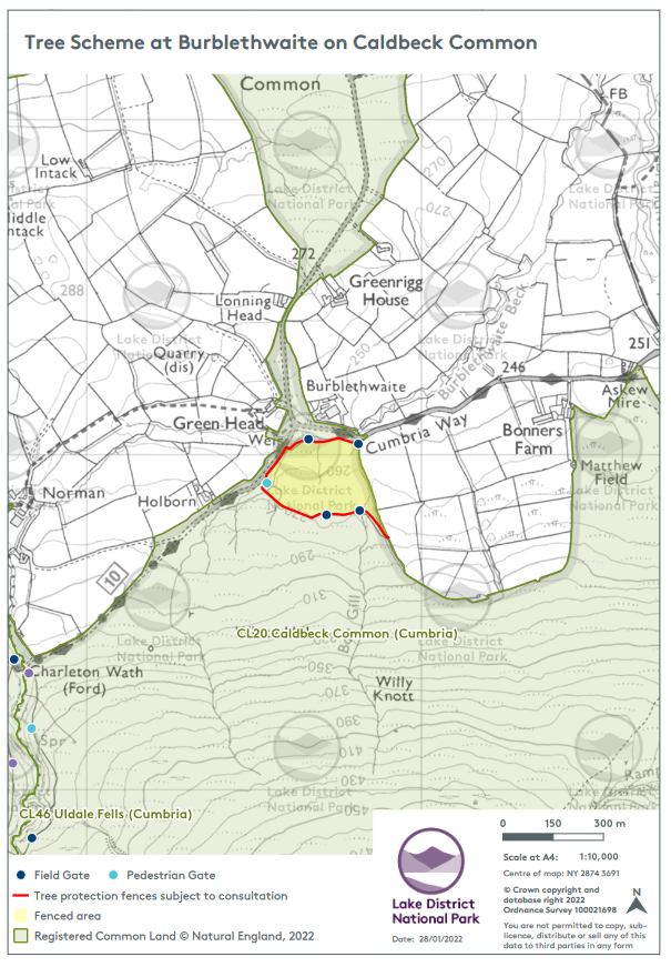 Map of the Burblethwaite area showing common fencing