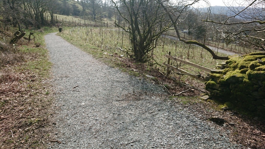 Orrest Head Carriageway