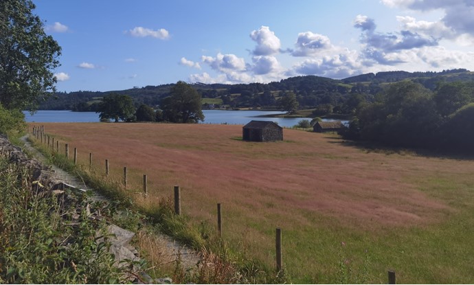 Esthwaite
