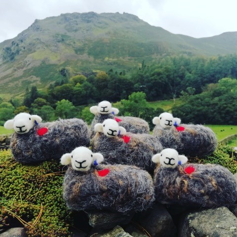 Herdy Sheep