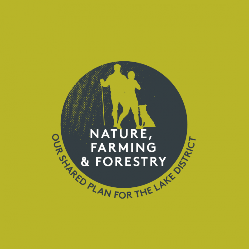 Nature, farming and forestry - Our shared plan for the Lake District
