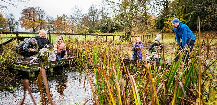 Children pond dipping at Brockhole
