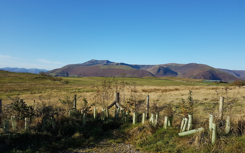 Image of mountains and nature reserve. 