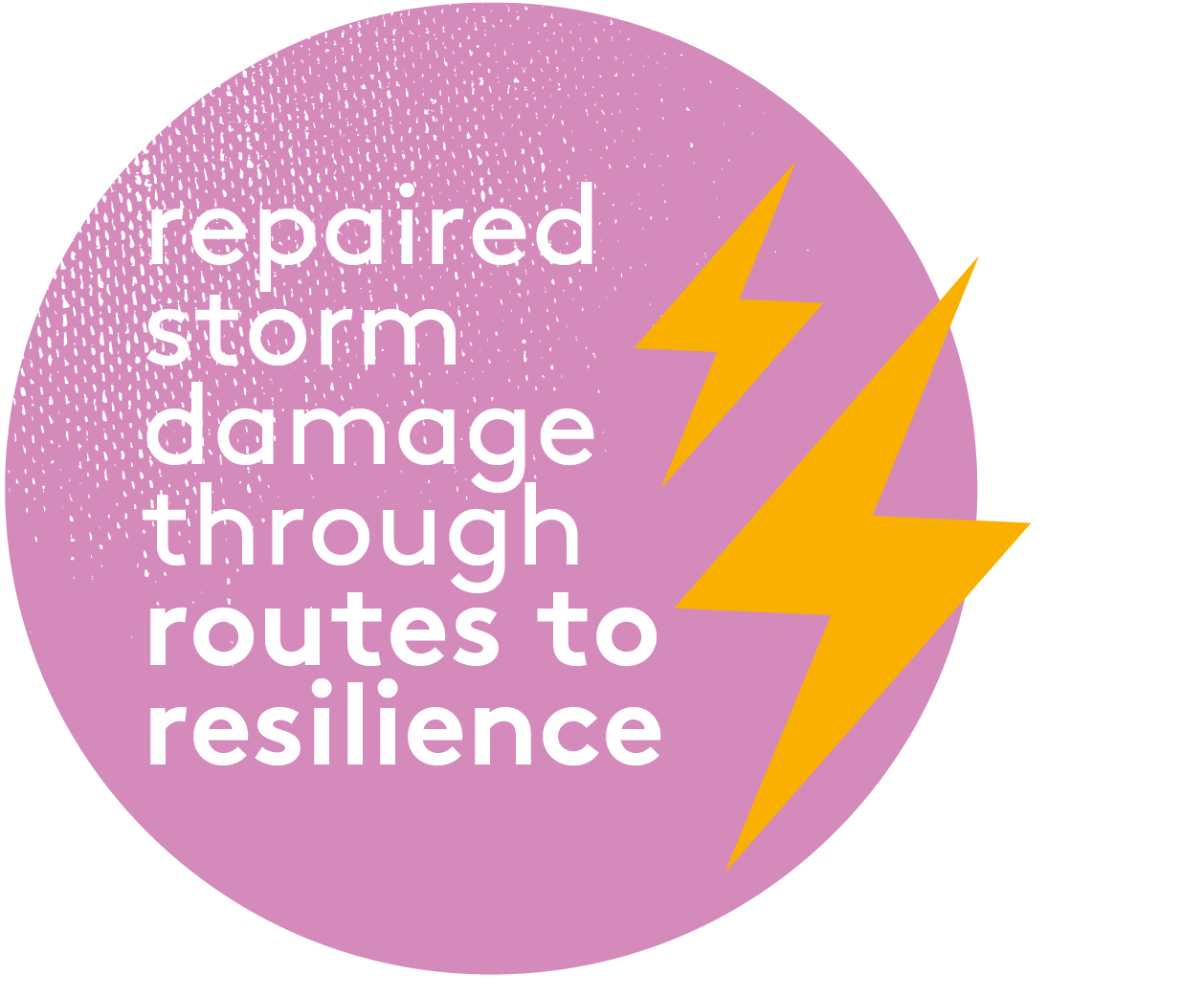 Repaired storm damage through routes to resilience