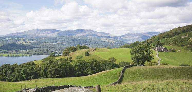 Windermere walk