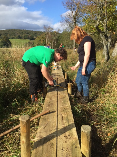 volunteers