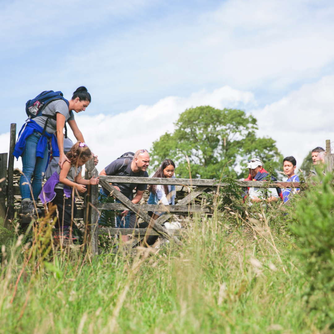 Guided walk walkers climbing over a stile