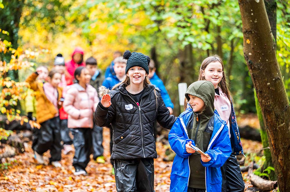 A school group walking through woodland at Brockhole