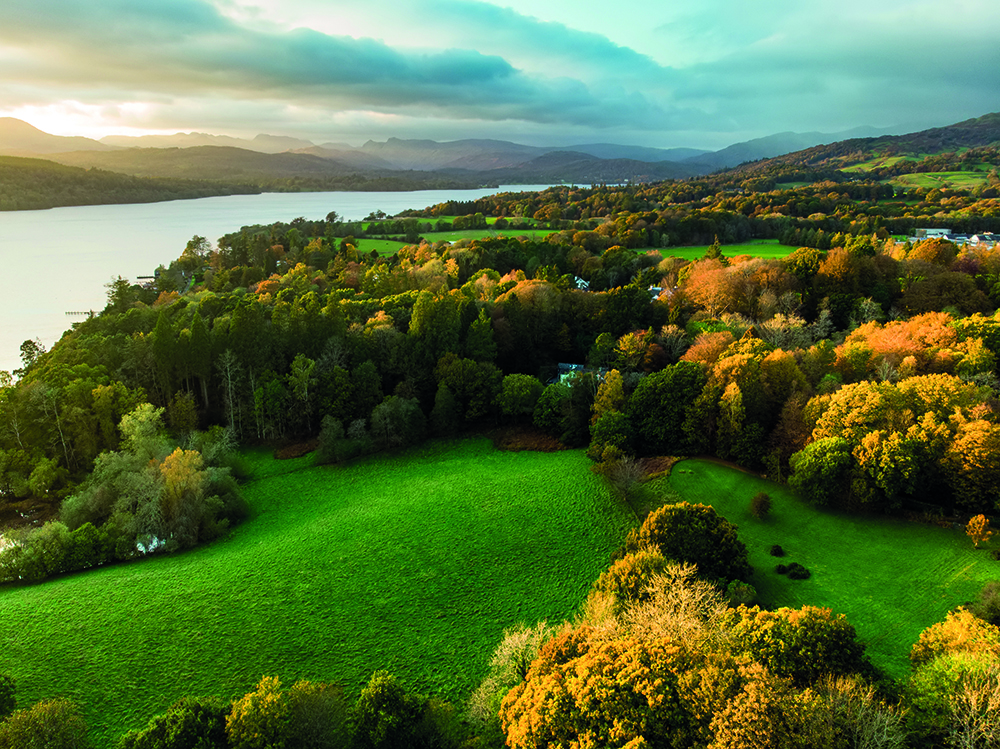 Traditional Woodland - Lake District National Park