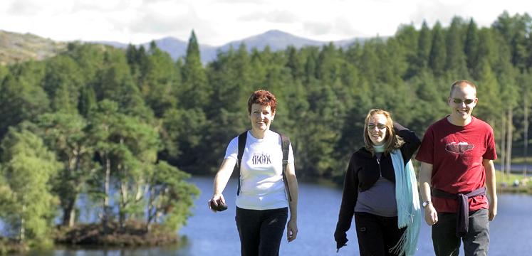 Group walking with Tarn Hows water in the background surrounded by conifer trees